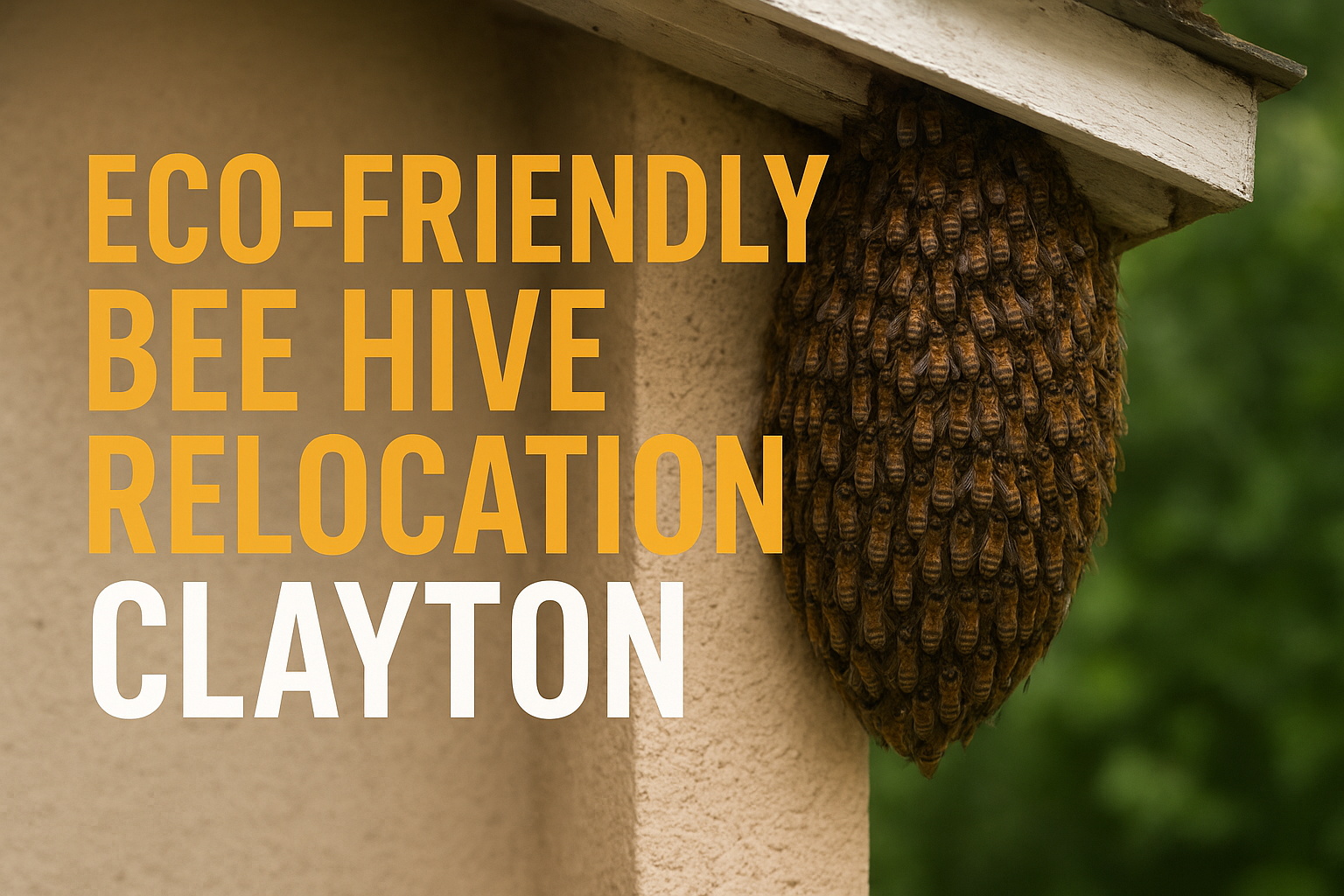 Eco-Friendly Bee Hive Relocation Clayton – Protecting Bees & Homes